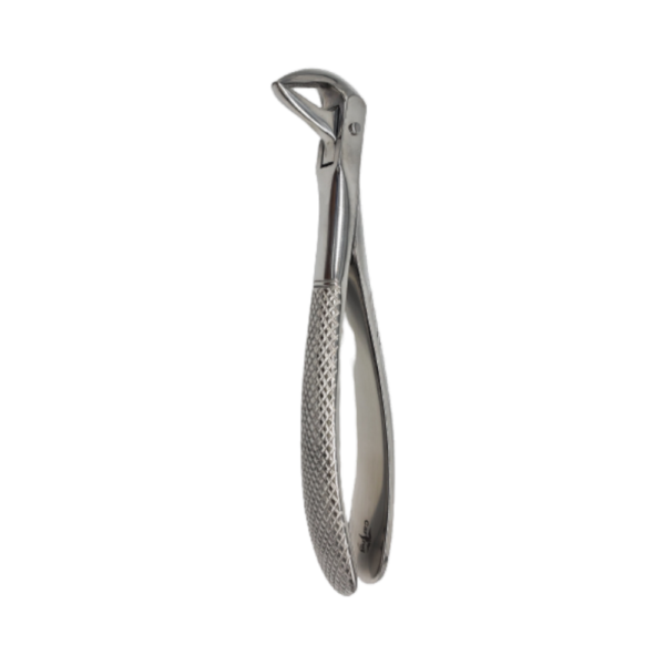 LOWER INCISORS & ROOTS 74