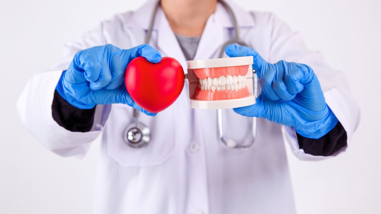 Dentist in blue coat holding a model heart and plastic jaw model