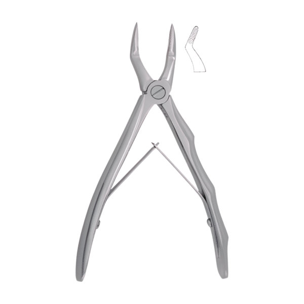 Carrot HCP Pedo Extraction Forcep – Upper Roots Pediatric Dental Instrument