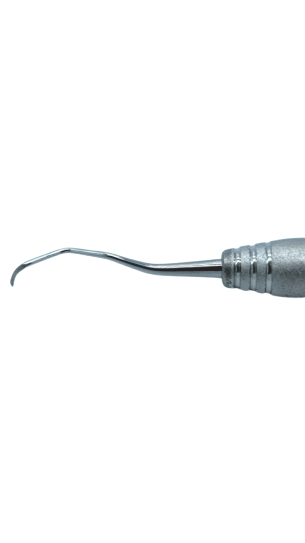 Gracey Mini Curette 13/14 dental periodontal instrument surgical stainless steel – Carrot HCP Canada