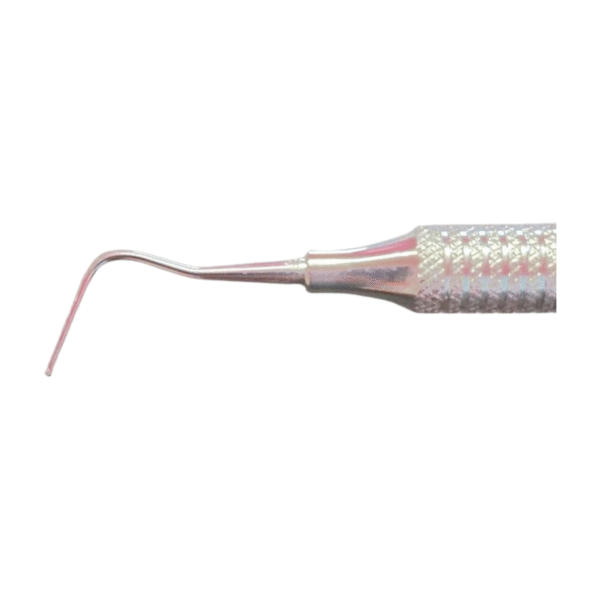 Burnisher Calcium Hydroxide Placer Pich stainless steel dental instrument