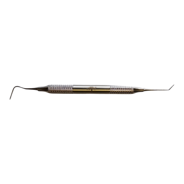 Burnisher Calcium Hydroxide Placer Pich stainless steel dental instrument