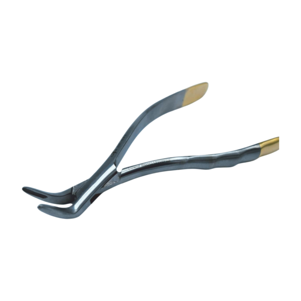 Carrot HCP Extraction Root Forcep F301 – Serrated Beak Lower Root Dental Instrument