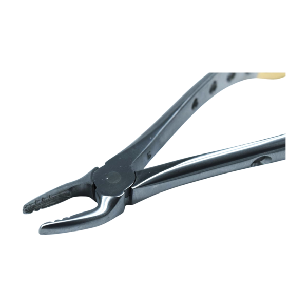 Carrot HCP Atraumatic F3P Upper Anterior Deep Gripping Dental Extraction Forcep