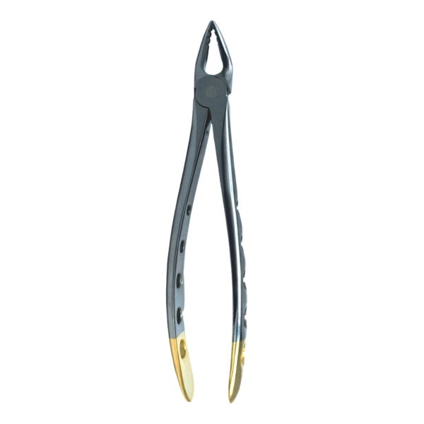 Carrot HCP Atraumatic F3P Upper Anterior Deep Gripping Dental Extraction Forcep