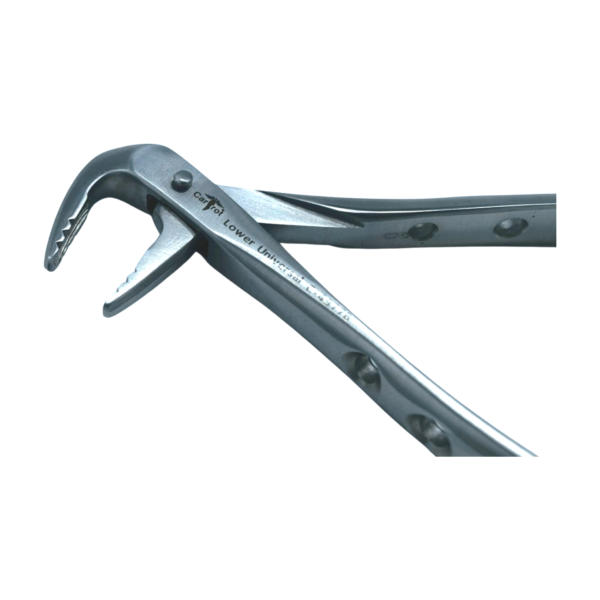 Carrot HCP Atraumatic F4P Deep Gripping Extraction Forcep – Lower Anterior Dental Instrument