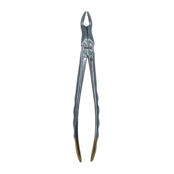 Atraumatic F6P Deep Griping Extraction Forcep upper molars Carrot HCP