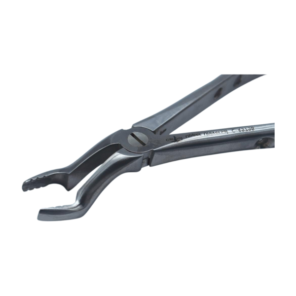 Atraumatic F6P Deep Griping Extraction Forcep upper molars Carrot HCP